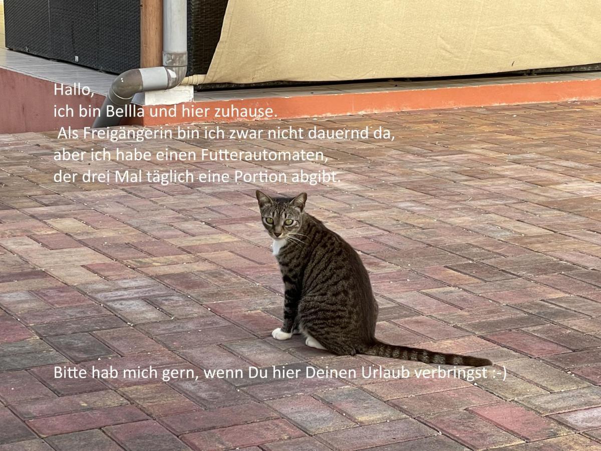 Willa Finisterre Curacao Westpunt Zewnętrze zdjęcie