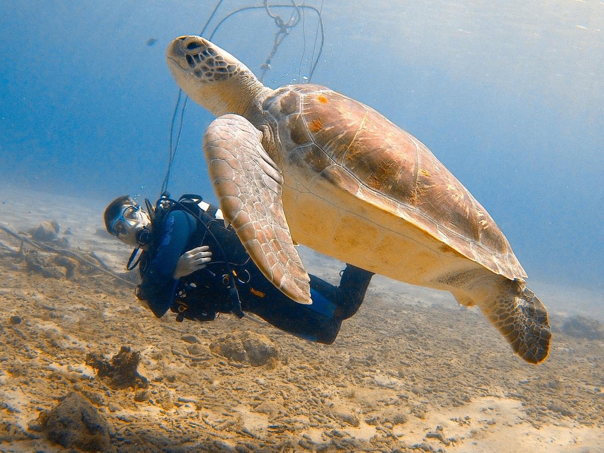 Willa Finisterre Curacao Westpunt Zewnętrze zdjęcie