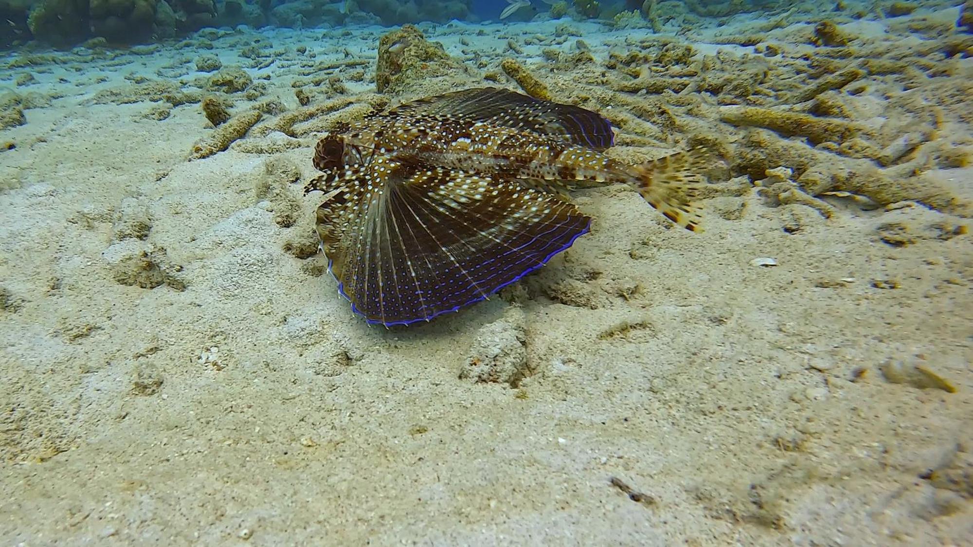 Willa Finisterre Curacao Westpunt Zewnętrze zdjęcie