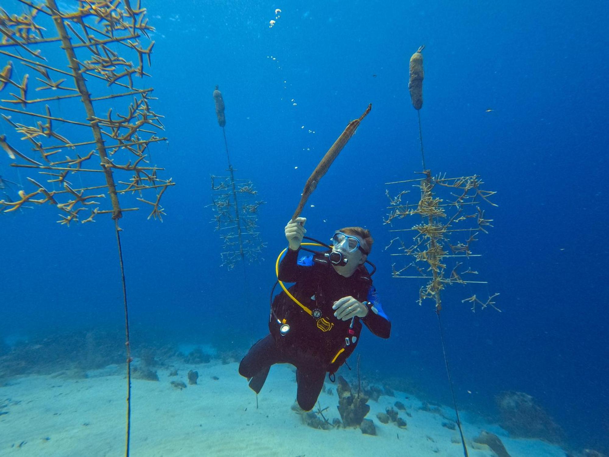 Willa Finisterre Curacao Westpunt Zewnętrze zdjęcie